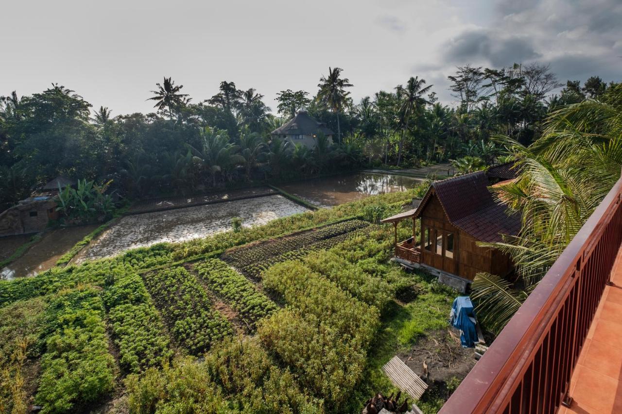 Kemangi, Katik Lantang, Ubud, Bali Apartment Exterior photo